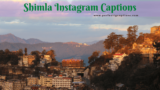 Shimla-Instagram-Captions