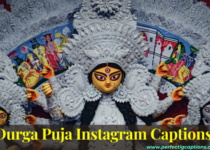 Durga-Puja-Instagram-Captions